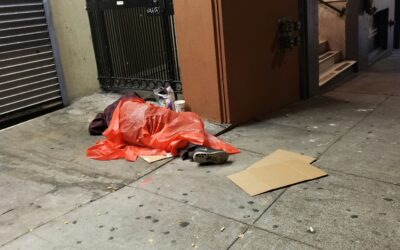 Refortalecimiento: economía y pobreza.